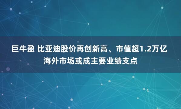 巨牛盈 比亚迪股价再创新高、市值超1.2万亿 海外市场或成主要业绩支点